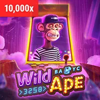 Cán Bộ Bảo Vệ Dữ Liệu