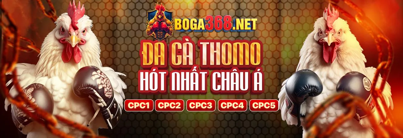 Đá gà trực tuyến Typhu Win 2026 với những trận đấu đỉnh cao