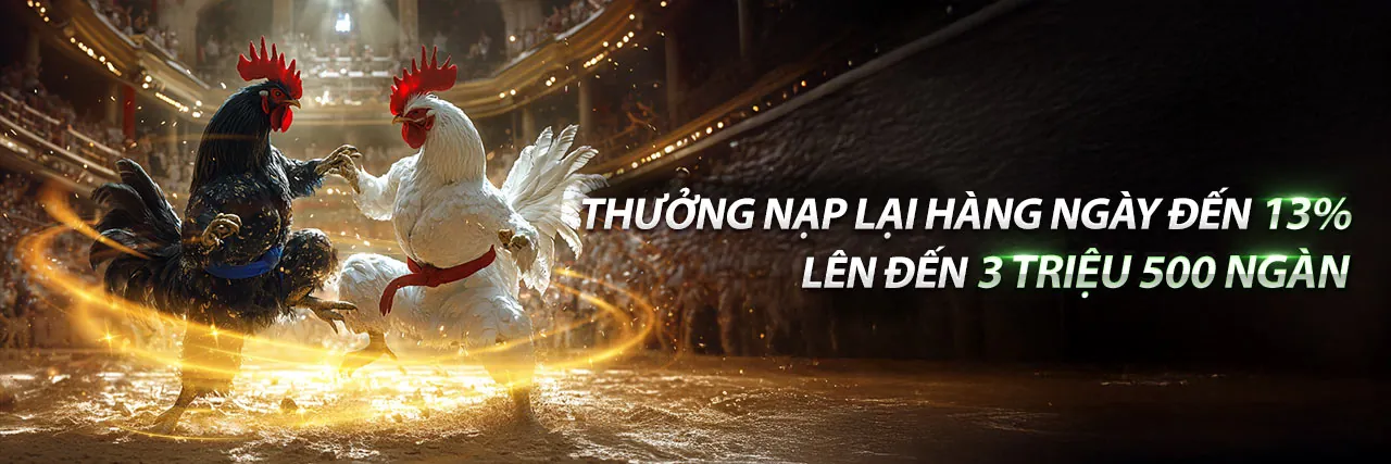 Các chương trình khuyến mãi độc quyền trên ứng dụng typhu win